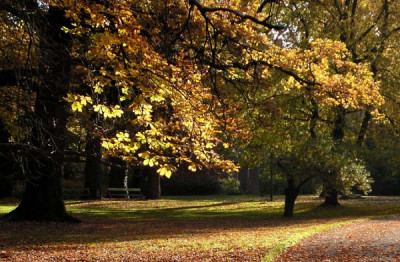 herbst_pur4.jpg