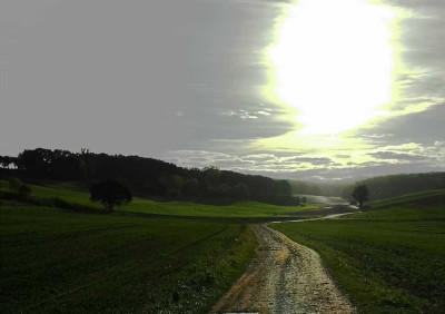 Feldansichten_4l_26-10-05.jpg