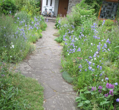 vorderer-Garten-200615.jpg