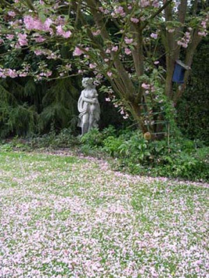 garten280404-0004k.jpg
