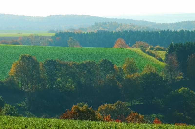 Feldansichten_1_30-10-05.jpg