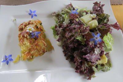 IMG_8186 Essen am 21.6.15 - Kartoffel-Zucchini-Gratin und Lollo rosso mit Spargel.jpg