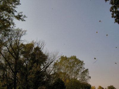 b3.jpg