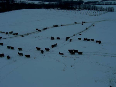 01-Januar.jpg
