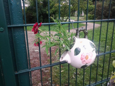 2015-06-21 08.33.41.jpg