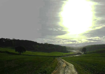 Feld-Frank-1-b.jpg