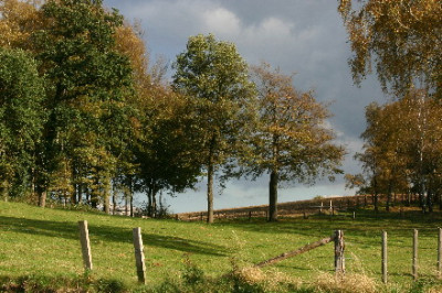 Allerheiligen-Nov-1.jpg