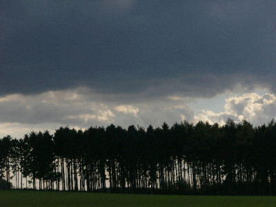 Allerheiligen-Nov-4.jpg