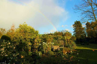 Garten_1_01-11-05.jpg