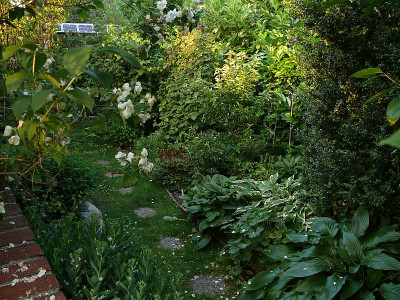 b2106460_800.jpg