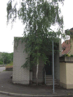 BildKrokosmian.jpg