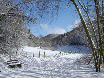 Dezember_2006_Muhlbachtal__600x450.jpg