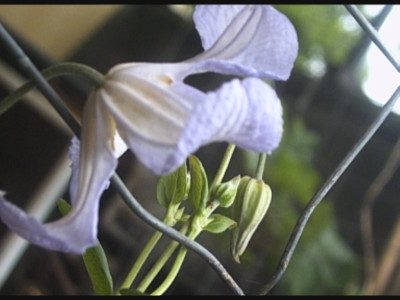 PHTO0198.JPG