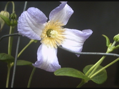 PHTO0197.JPG