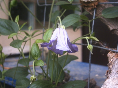 PHTO0203.JPG