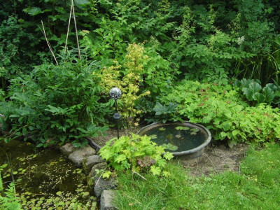 Kupferkessel statt Apfelbaum.jpg