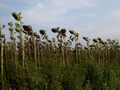 200805.jpg