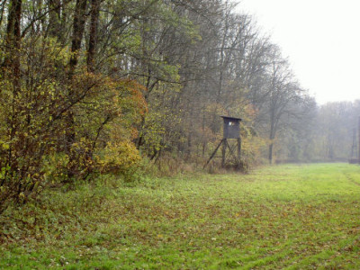 011105.jpg