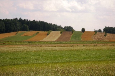 waldviertel_2005-08_landschaft_01.jpg