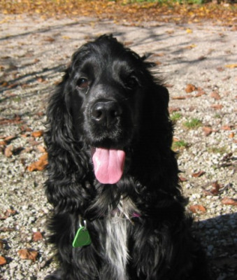 Charly-November-2005-k.jpg