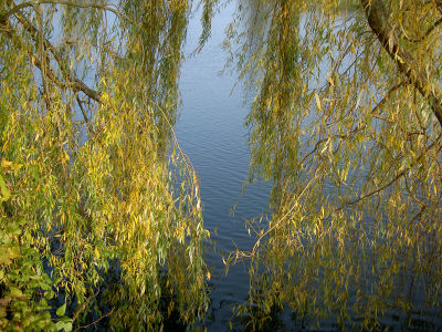 amteich3_011105.jpg