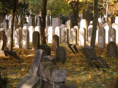 wien-juedischer_friedhof.jpg