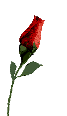 blume-13.gif