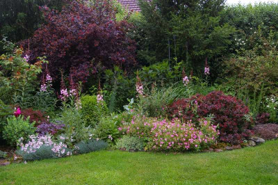 Hinterer Garten.101.jpg