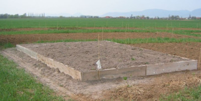 Sideritisbeet20050412.jpg