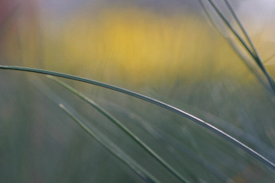 Silbern-Nov-2.jpg