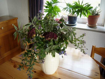 P1020184.JPG