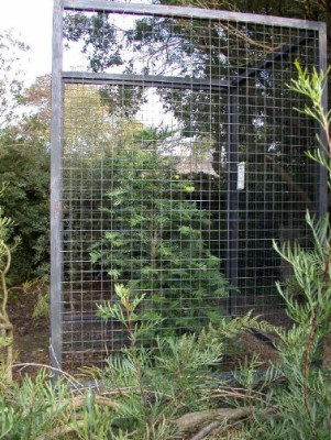 Woll-_unter_Verschluss_Wakehurst_10.05.jpg