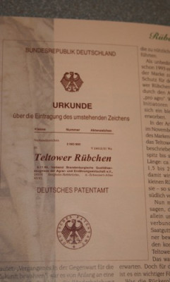 Rubenpatent.jpg