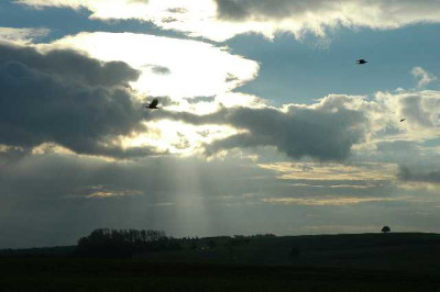 Wolken_4_23-10-05.jpg
