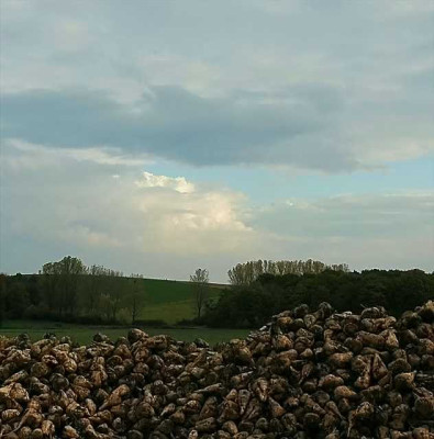 Wolken_5_23-10-05.jpg