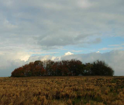 Wolken_7_23-10-05.jpg