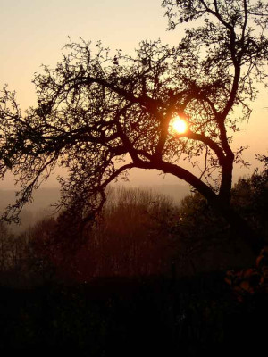 Sonnenuntergang-4.jpg