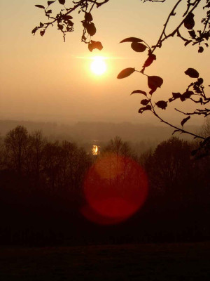 Sonnenuntergang-Negativbeis.jpg