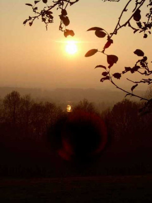 Sonnenuntergang-Negativbeis_Nachbelichtet.jpg