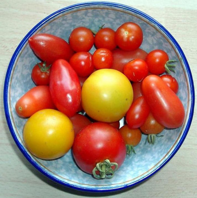 November_Tomaten_2.jpg