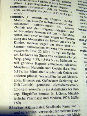 somniferum_text.jpg