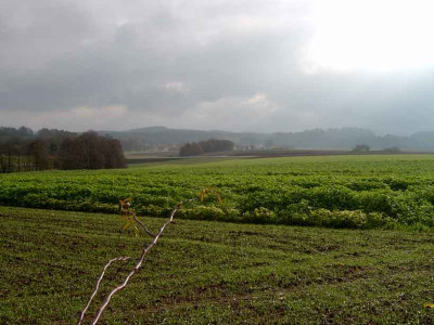 Schneewolken-5.jpg