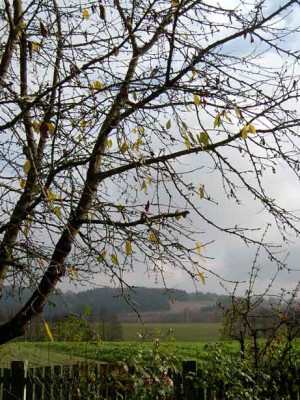 Schneewolken-3.jpg