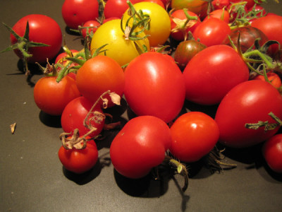 letzte_ernte_2005.jpg