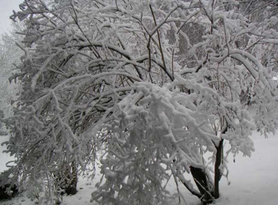 schnee.jpg