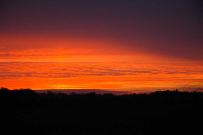 Sonne_2_20-11-05.jpg