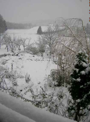 Winteranfang__21.11.05.jpg