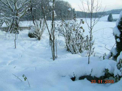 DSCN2552.jpg
