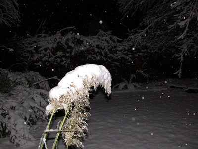 2005.11-der_erste_Schnee1.jpg