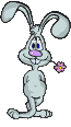 glucklicher_Hase.gif